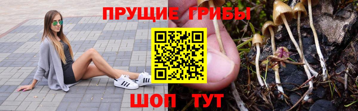 Чистополь  Галлюциногенные грибы GOLDEN TEACHER  Вход с VPN  Псилоцибиновые грибы ЛСД 